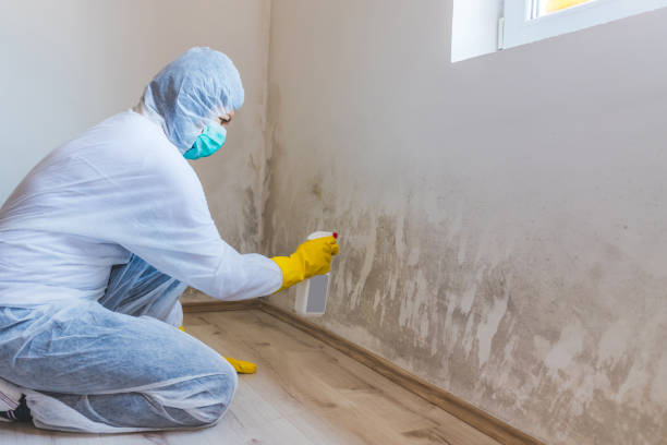 Licensed Commercial Mold Remediation service in Delray Beach, FL - WQB Mold Removal