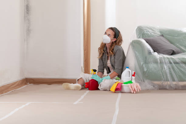 Reliable Commercial Mold Remediation contractor in Delray Beach, FL by WQB Mold Removal